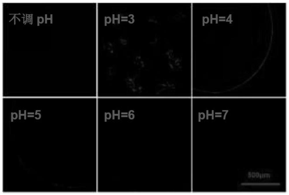 Preparation method and application of core-shell structure microcapsule particles