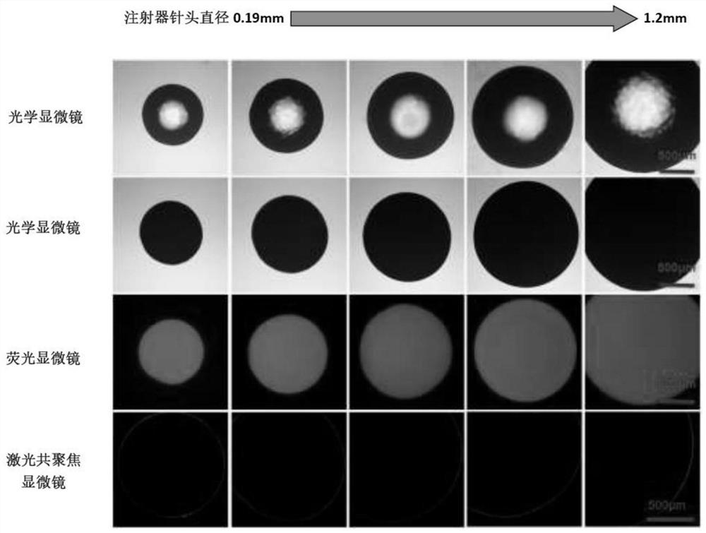 Preparation method and application of core-shell structure microcapsule particles