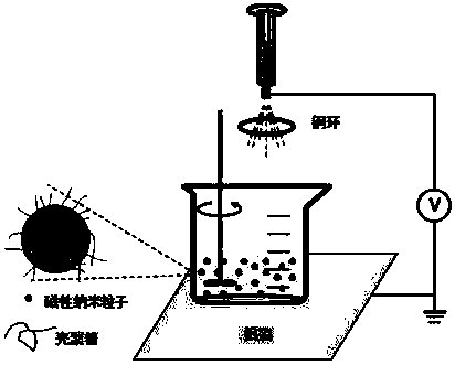Preparation method of dual functional chitosan microspheres