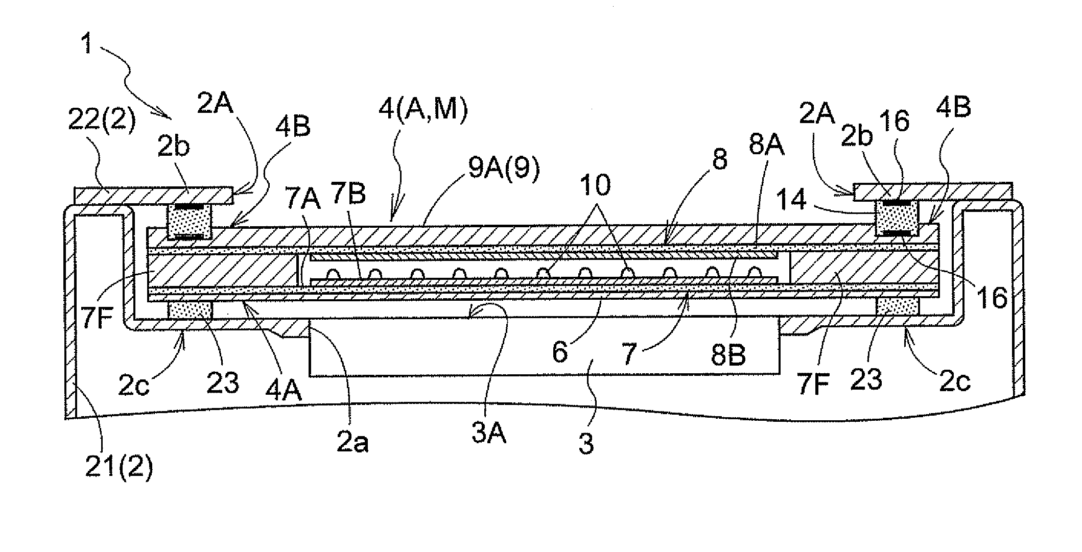 Electronic apparatus with protective panel