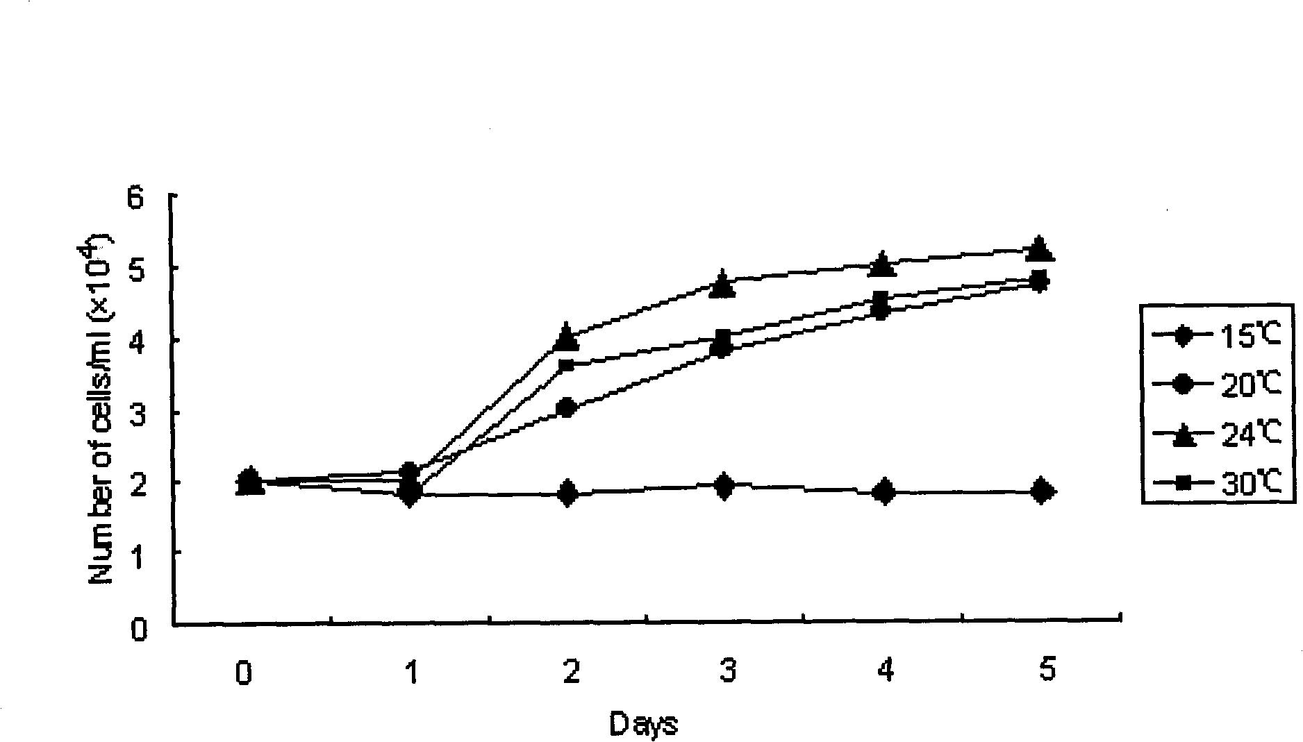 Method for constructing kidney cell line of scophthalmus maximus