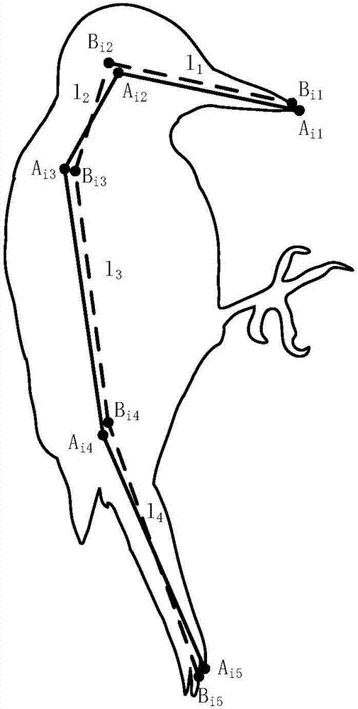 Woodpecker articulation point positioning method based on motion image sequence