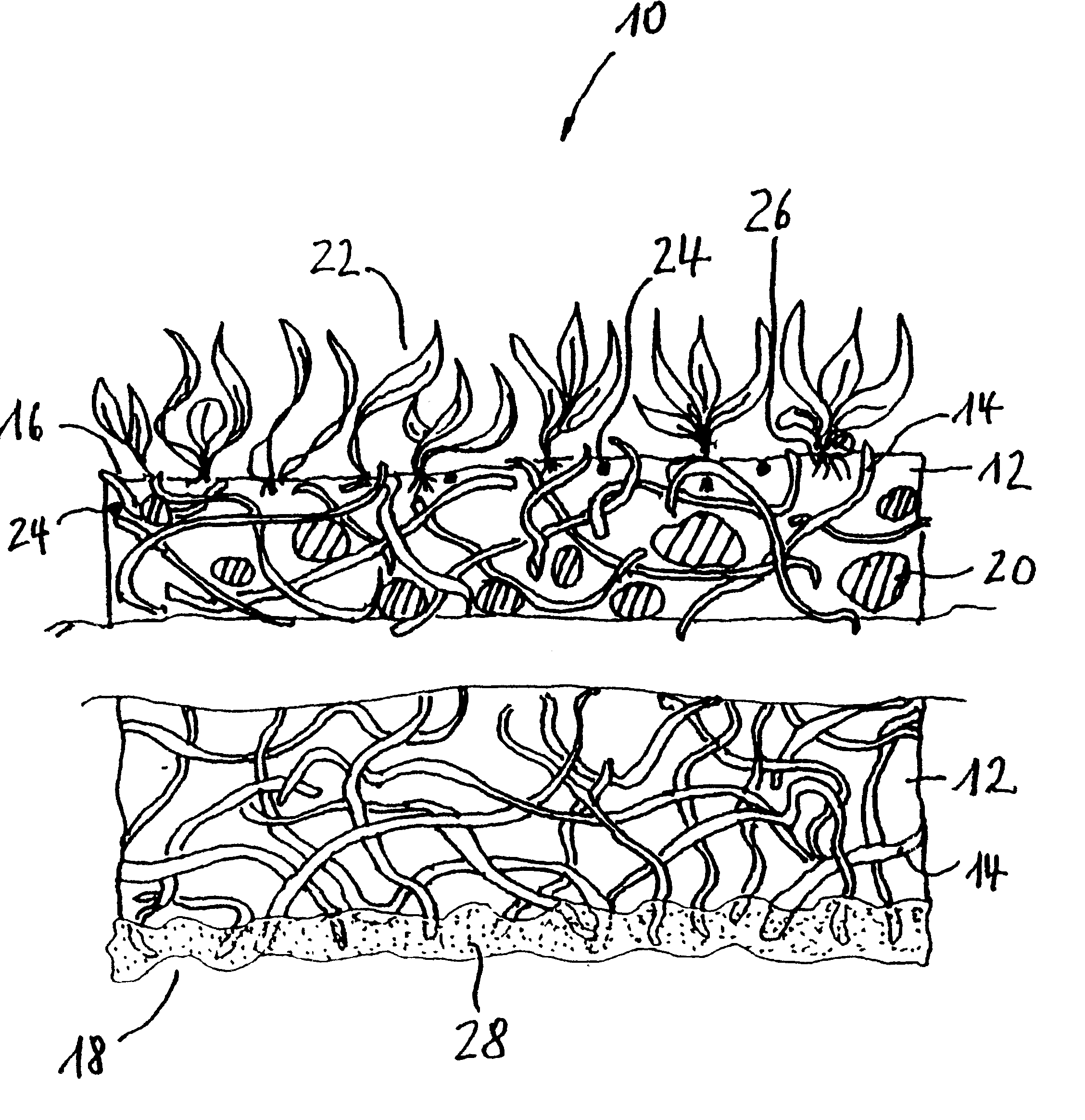 Vegetation support consisting of a mat of entangled organic fibers