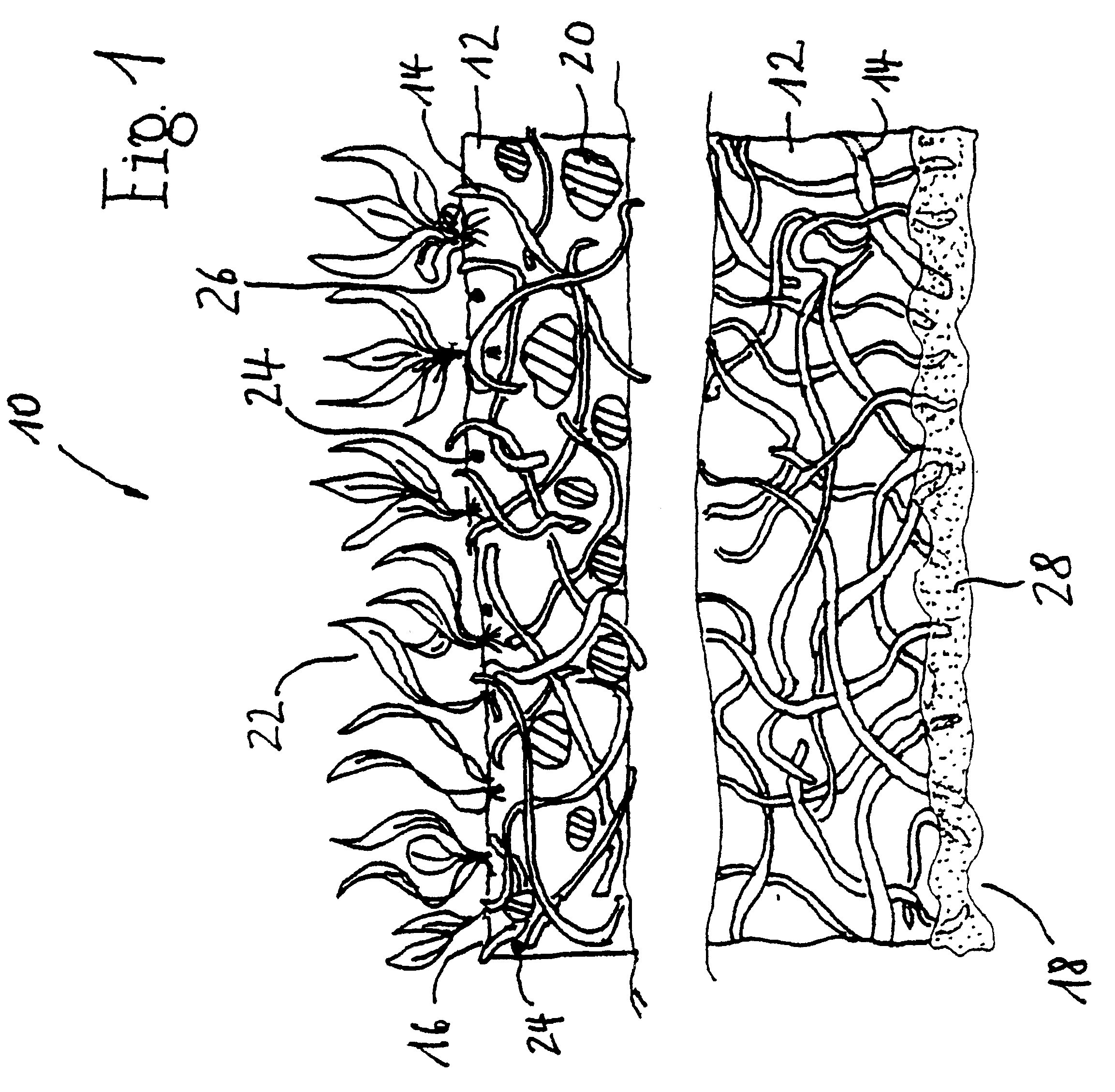 Vegetation support consisting of a mat of entangled organic fibers