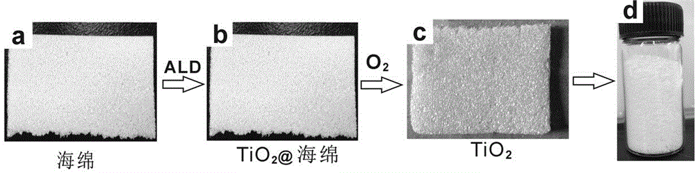 Two-dimensional nanometer thin film negative electrode material of lithium ion battery and preparation method of negative electrode material