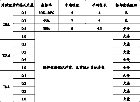 Culture medium and culture method for tissue culture of helianthemum ordosicum