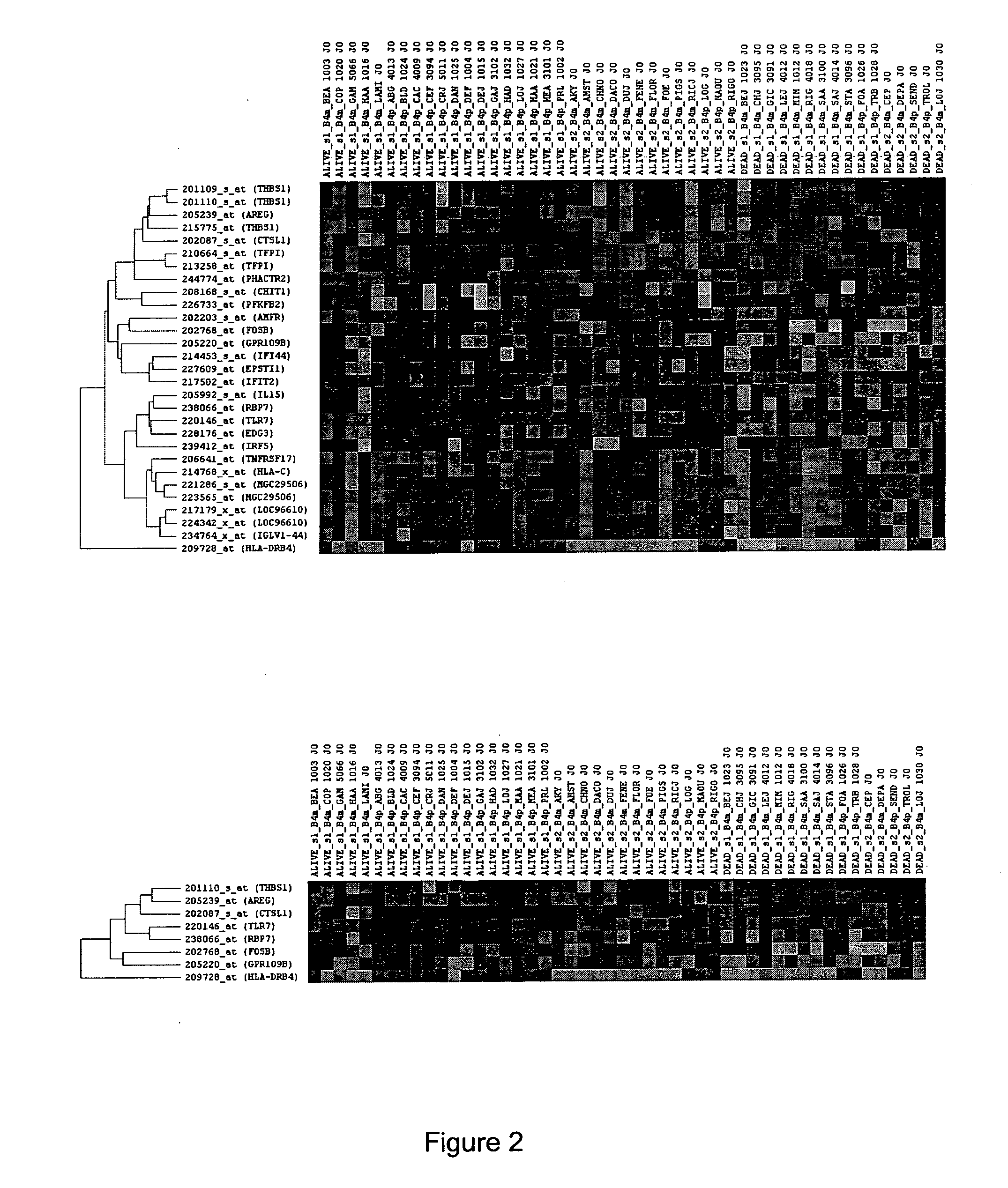 Methods and Kits for the Rapid Determination of Patients at High Risk of Death During Septic Shock