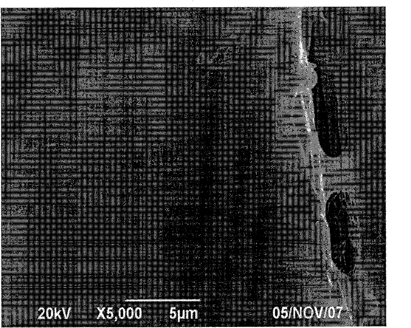 Function textile with nanometer composite structure produced by nanometer protein material and method of preparation