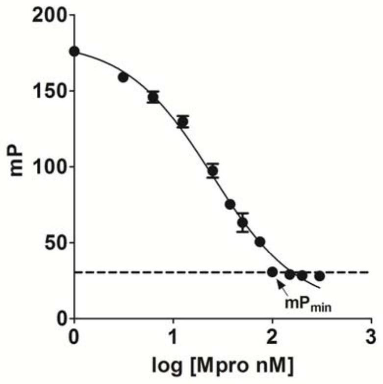 Method and screening model for screening small-molecule inhibitor of main protease of new coronavirus