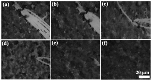 Self-repairing adhesive and preparation method and application thereof