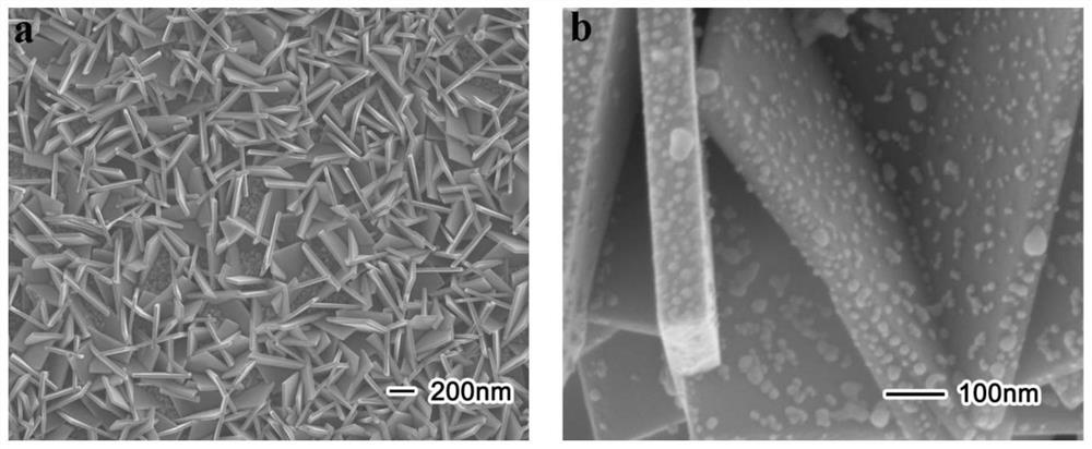 A kind of photocatalytic system and preparation method thereof