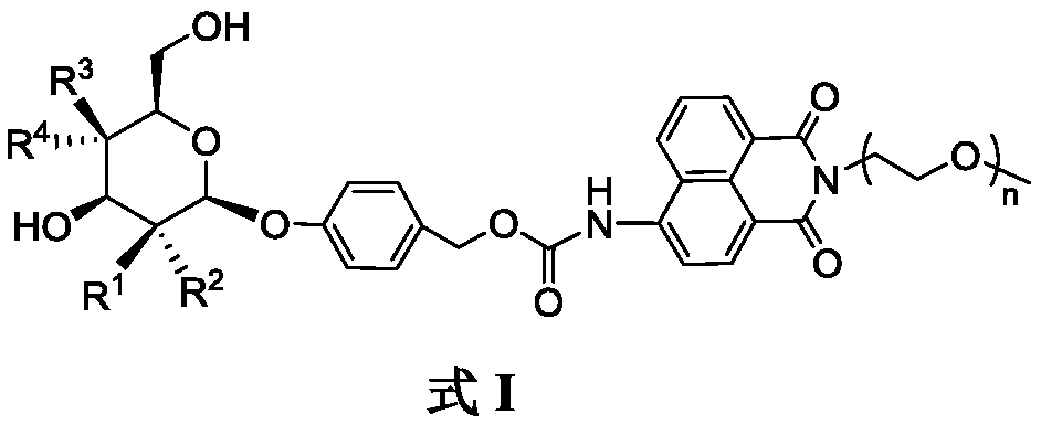 Glycosylnaphthalimide-containing fluorescent probe and application thereof