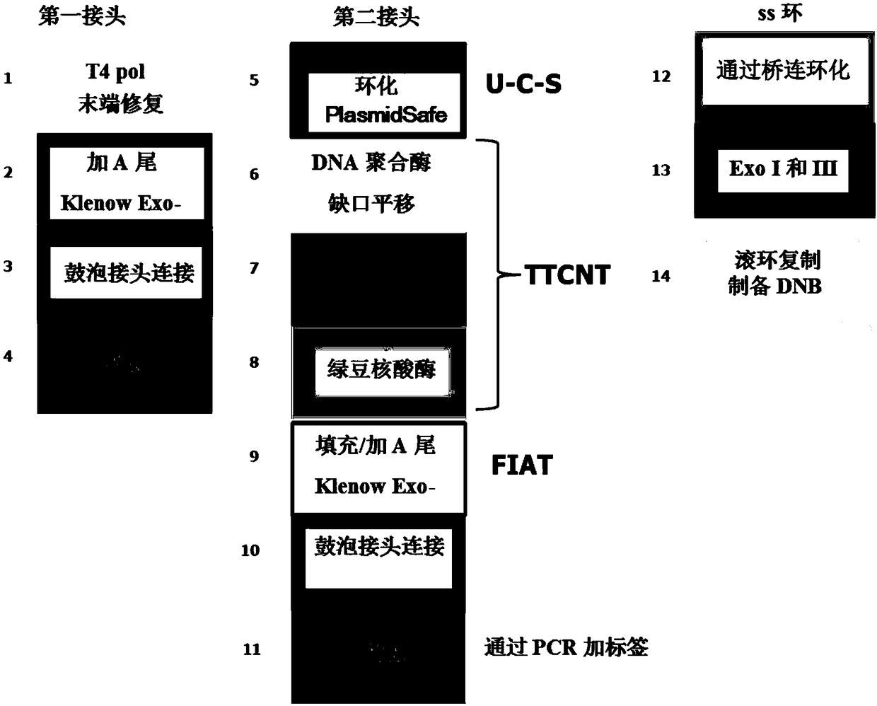 Double chain nucleic acid fragment joint adding method, library constructing method and kit