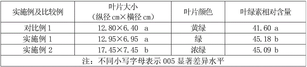 High-activity small-molecular carbon-rich fertilizer and preparation method thereof