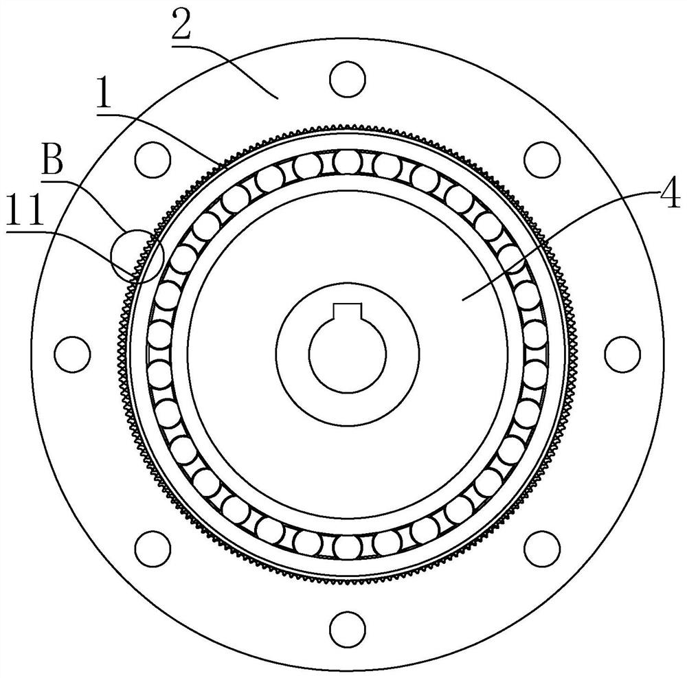 Double-arc curved surface harmonic drive speed reducer