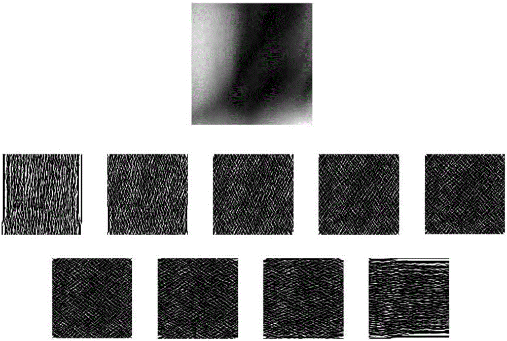 Riesz wavelet and SSLM (Small Sphere and Large Margin) model-based vein recognition method