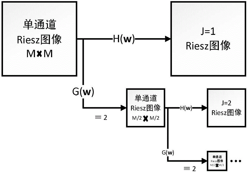 Riesz wavelet and SSLM (Small Sphere and Large Margin) model-based vein recognition method