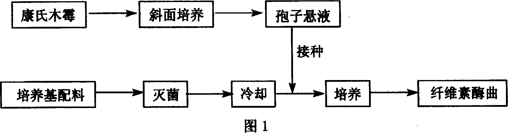 Method for preparing lactic acid and feedstuff concurrent with crop straw fermentation