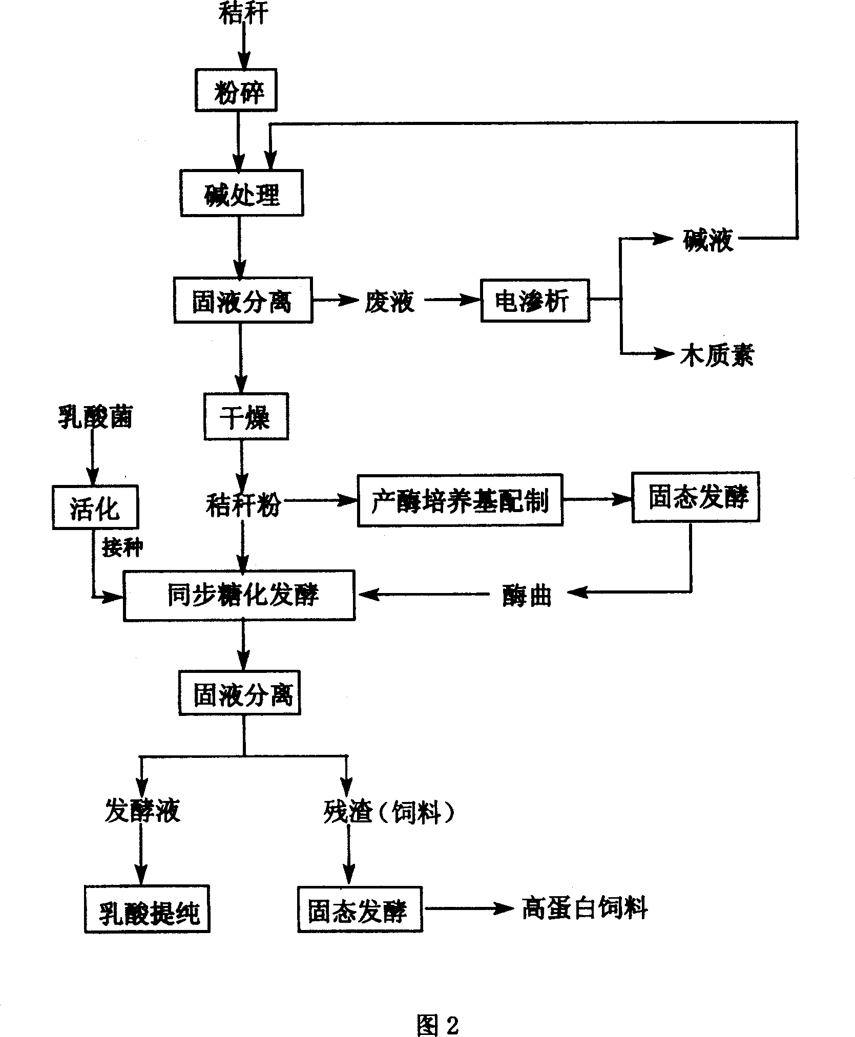 Method for preparing lactic acid and feedstuff concurrent with crop straw fermentation