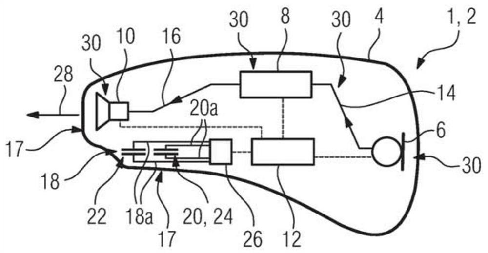 Hearing device with earplugs