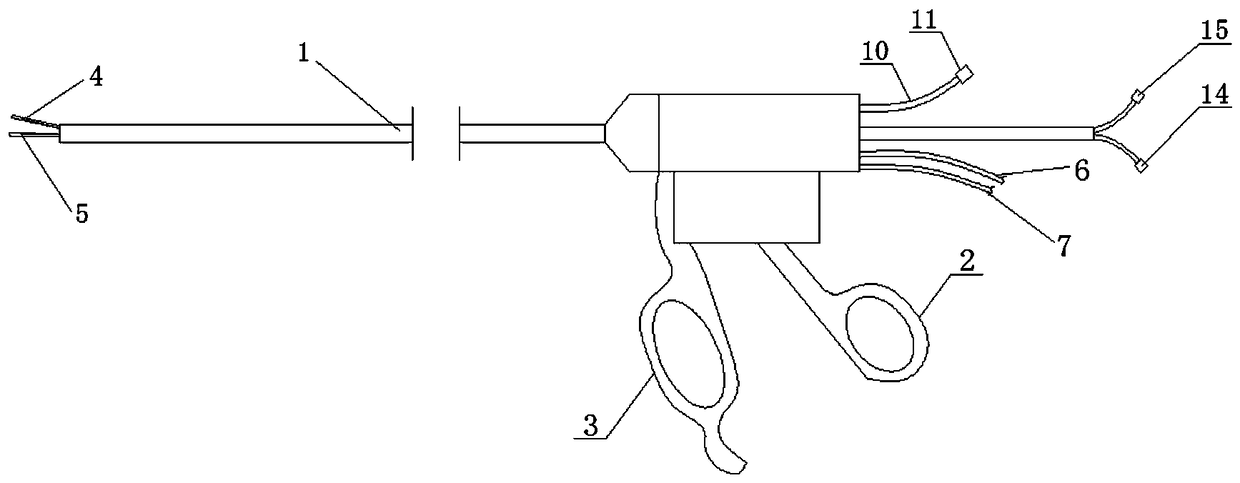 Radiofrequency ablation forceps for renal artery sympathectomy