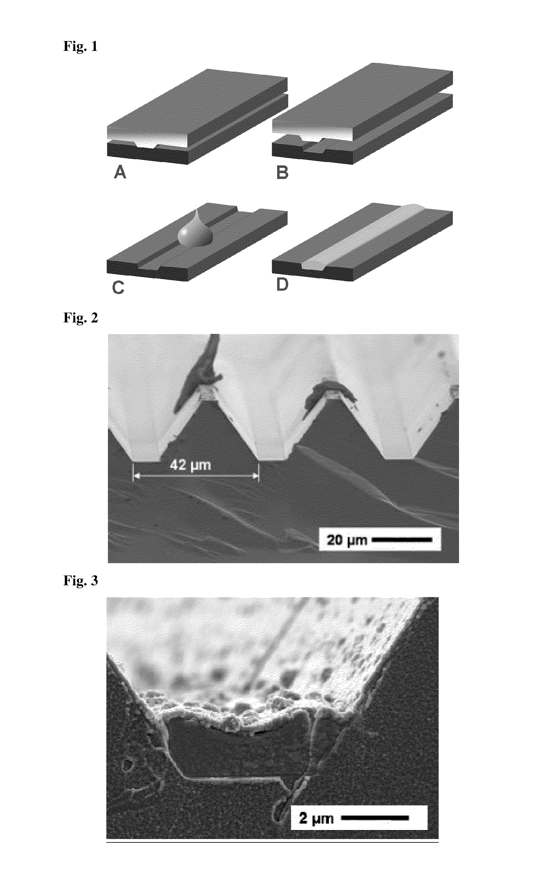 Method for fabricating minute conductive structures on surfaces