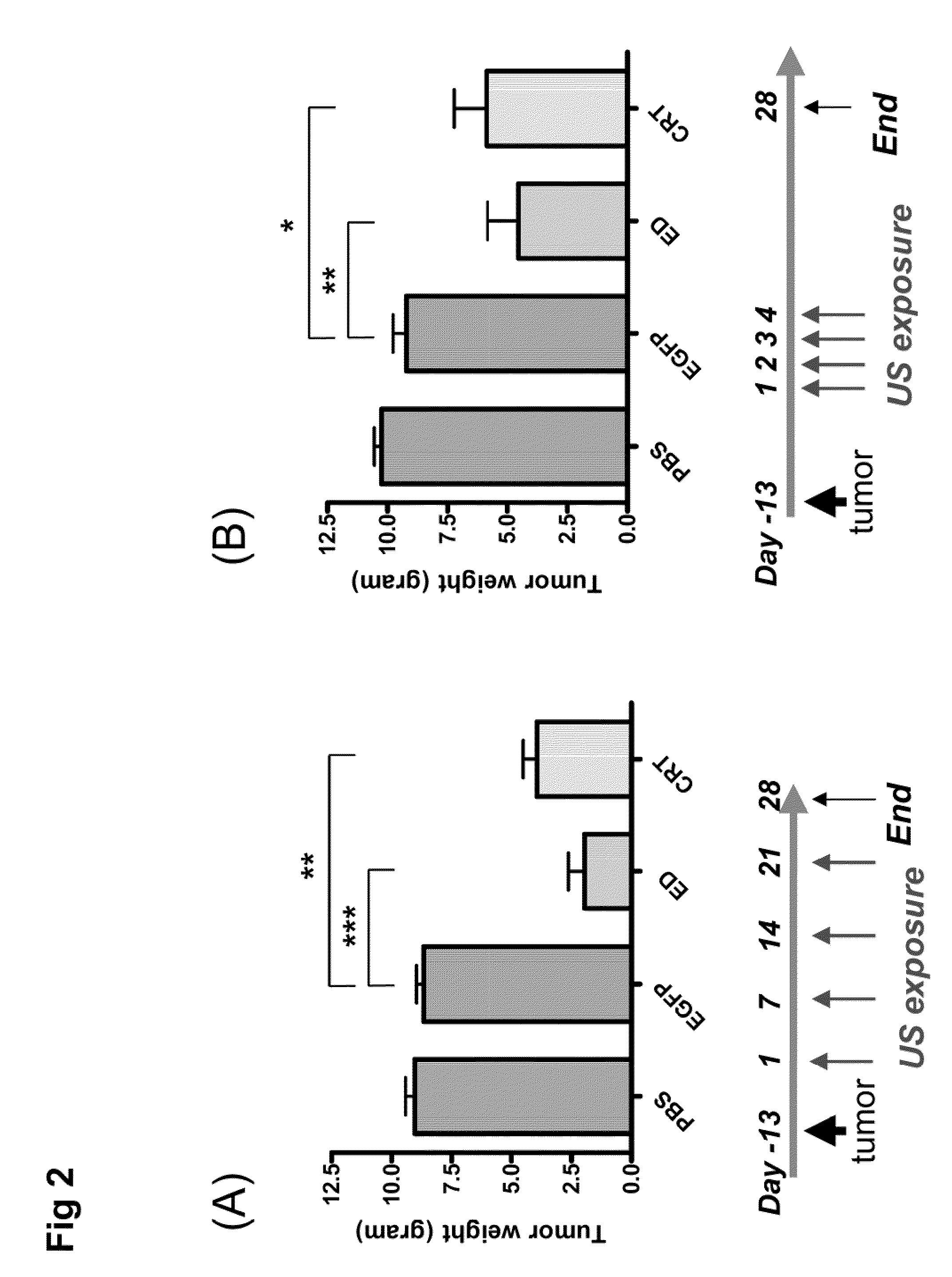 Acoustically delivering methods and compositons for remote treatment of a tumor