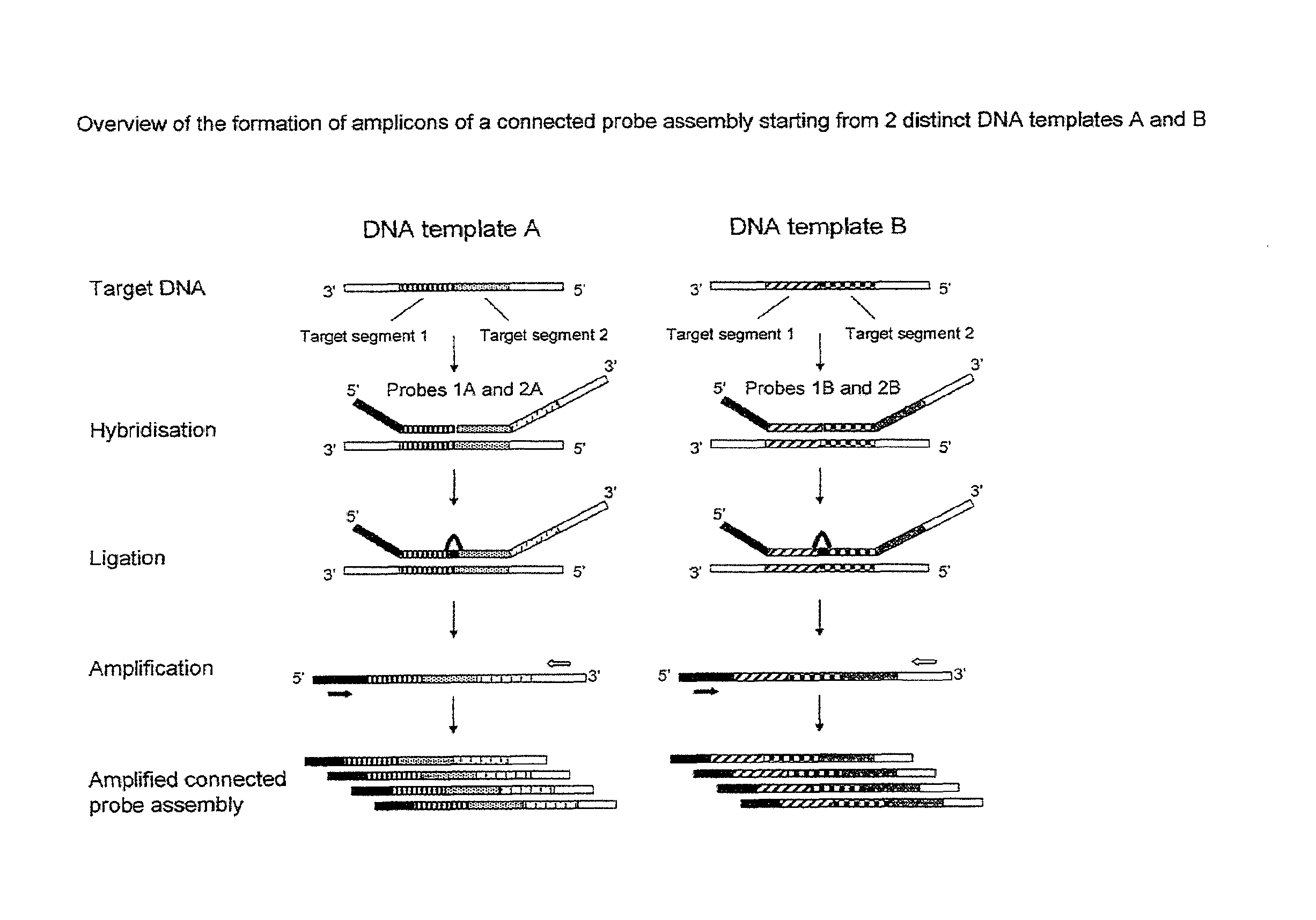 Method for the simultaneous detection of multiple nucleic acid sequences in a sample