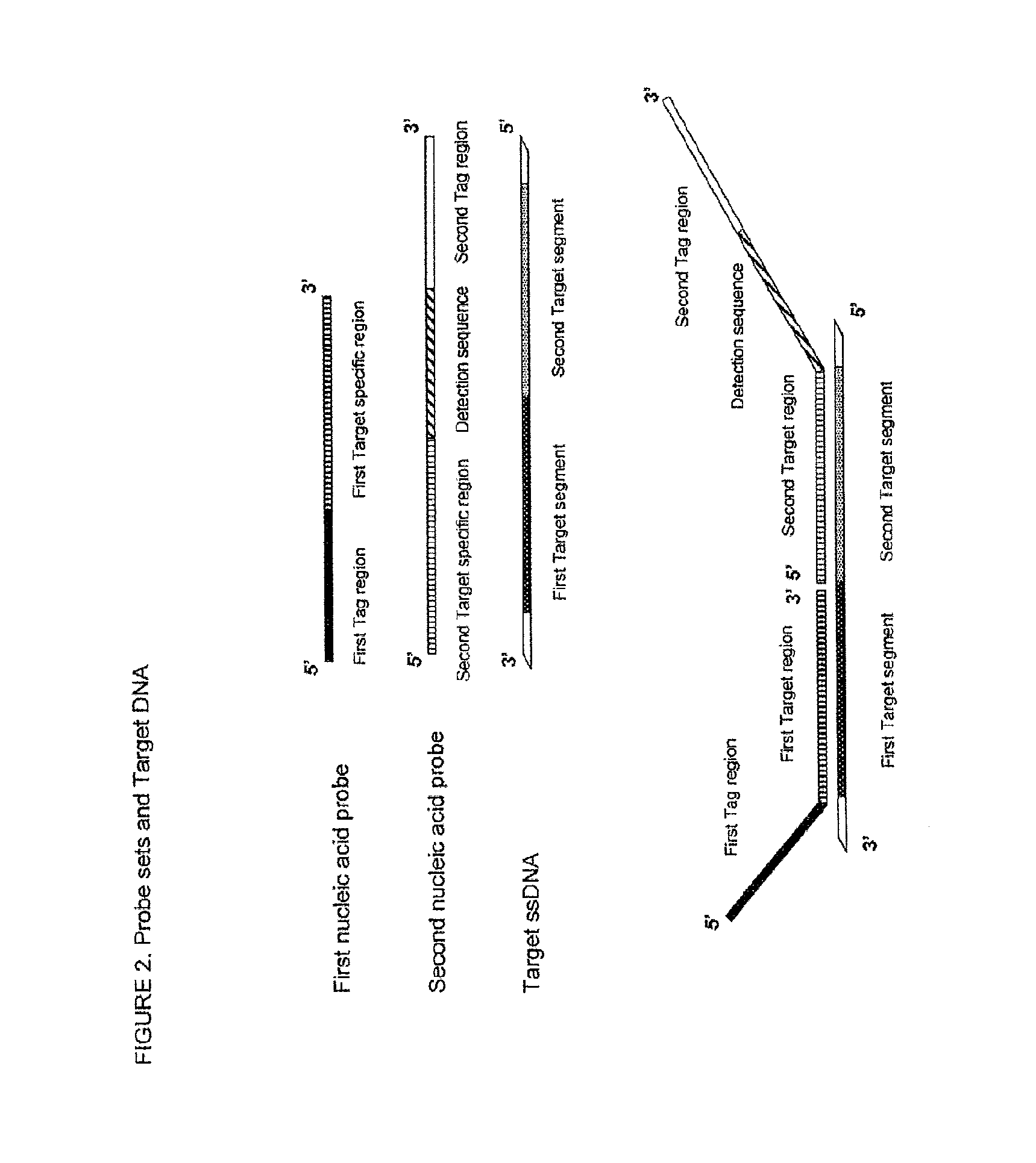 Method for the simultaneous detection of multiple nucleic acid sequences in a sample