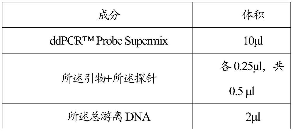 Application of SNP (Single Nucleotide Polymorphism) marker and SNP loci as well as primers, probes and detection kit of SNP marker and SNP loci