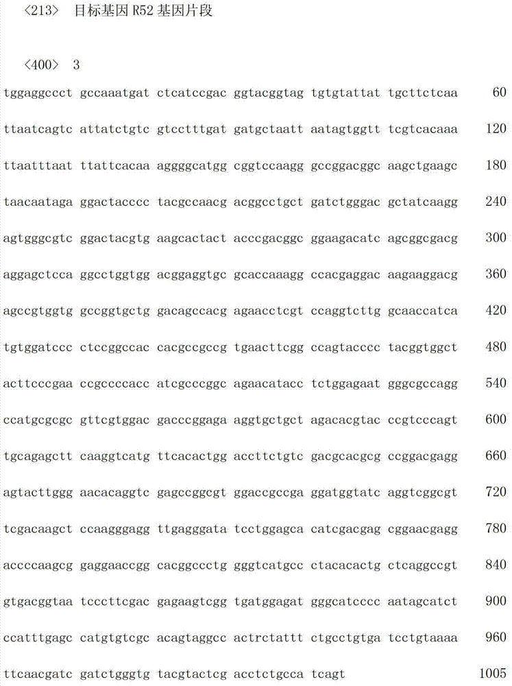 DNA molecular marker method for identification of alien invasive species Spartina alterniflora population