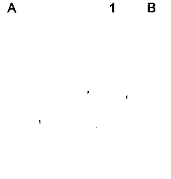 Copper-containing bi-component composite antibacterial fiber and preparation method thereof