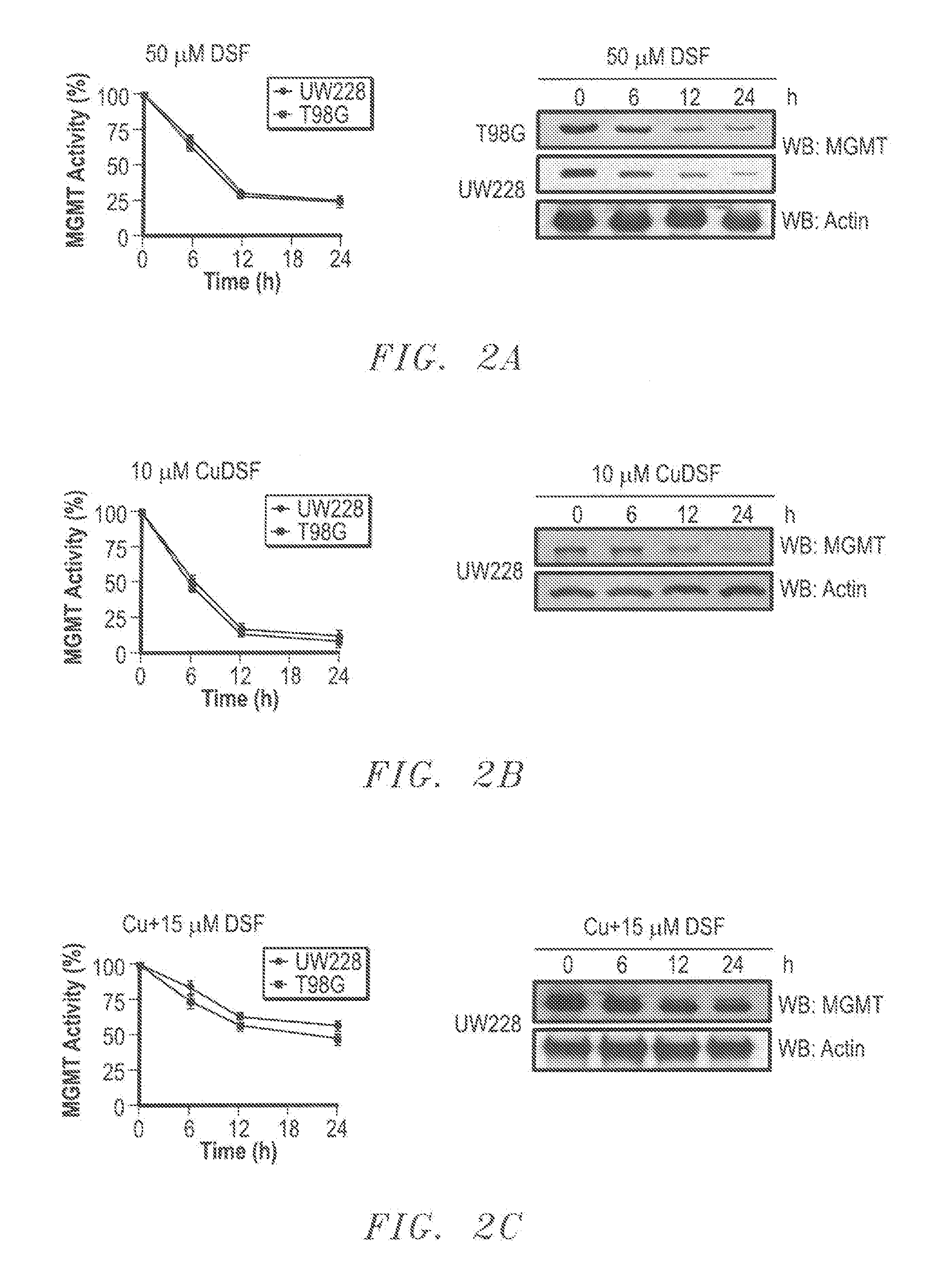 Disulfiram Compositions and Treatments for Brain Tumors