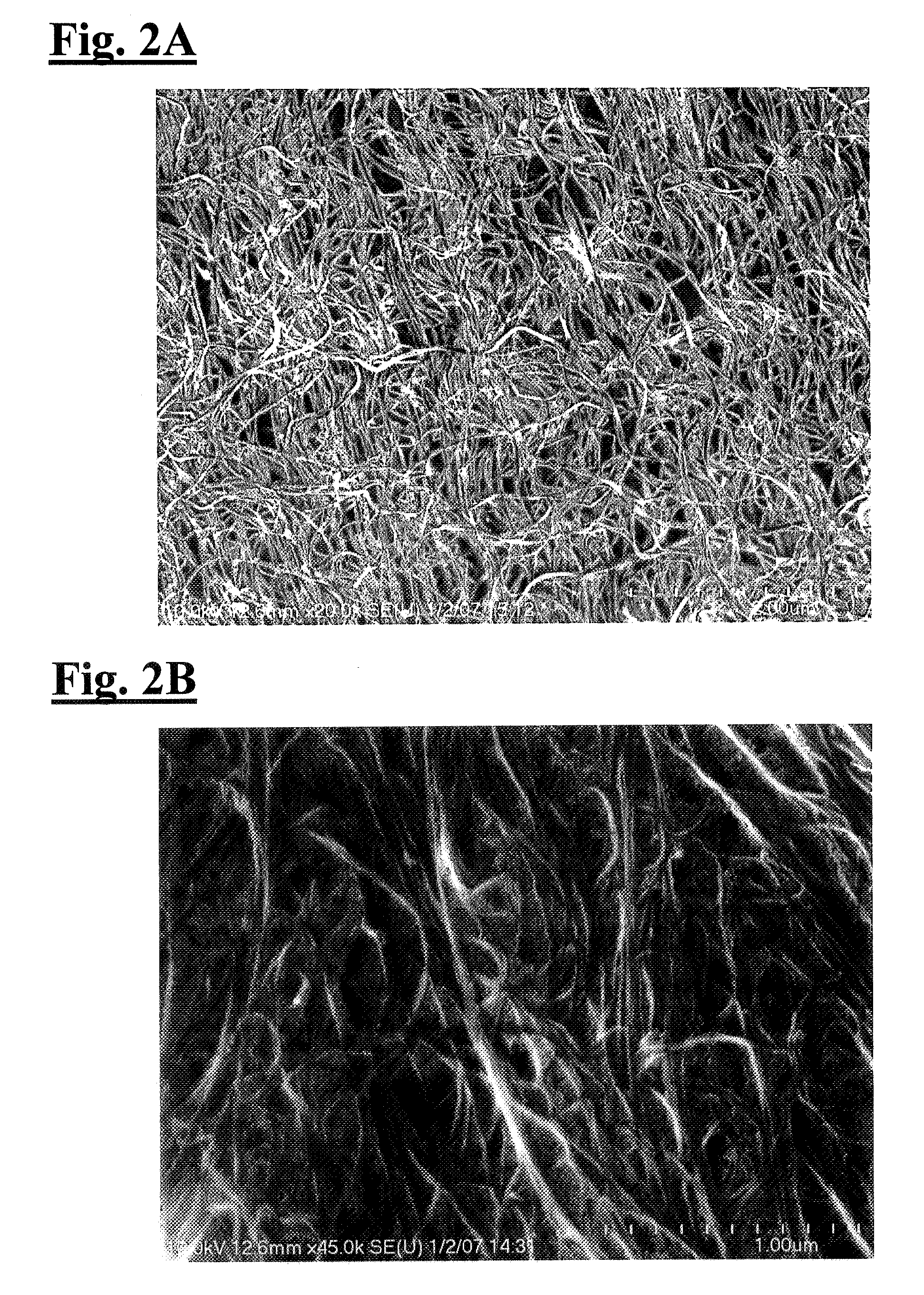 Carbon Nanotubes with Nano-Sized Particles Adhered thereto and Method of Preparing Same
