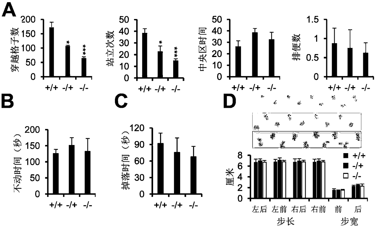 Construction method and application of mir-124 gene knockout mouse animal model