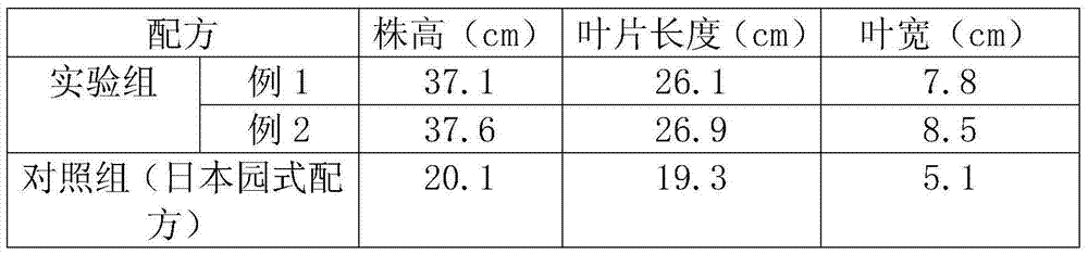 Heliconia bihai cultivation nutrient solution