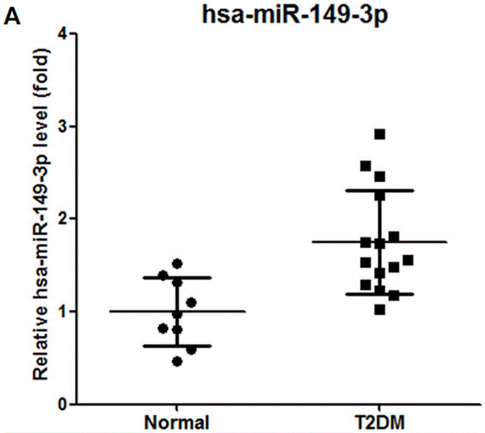 MiRNA molecular marker hsa-miR-149-3p for diagnosing type 2 diabetes mellitus and application thereof
