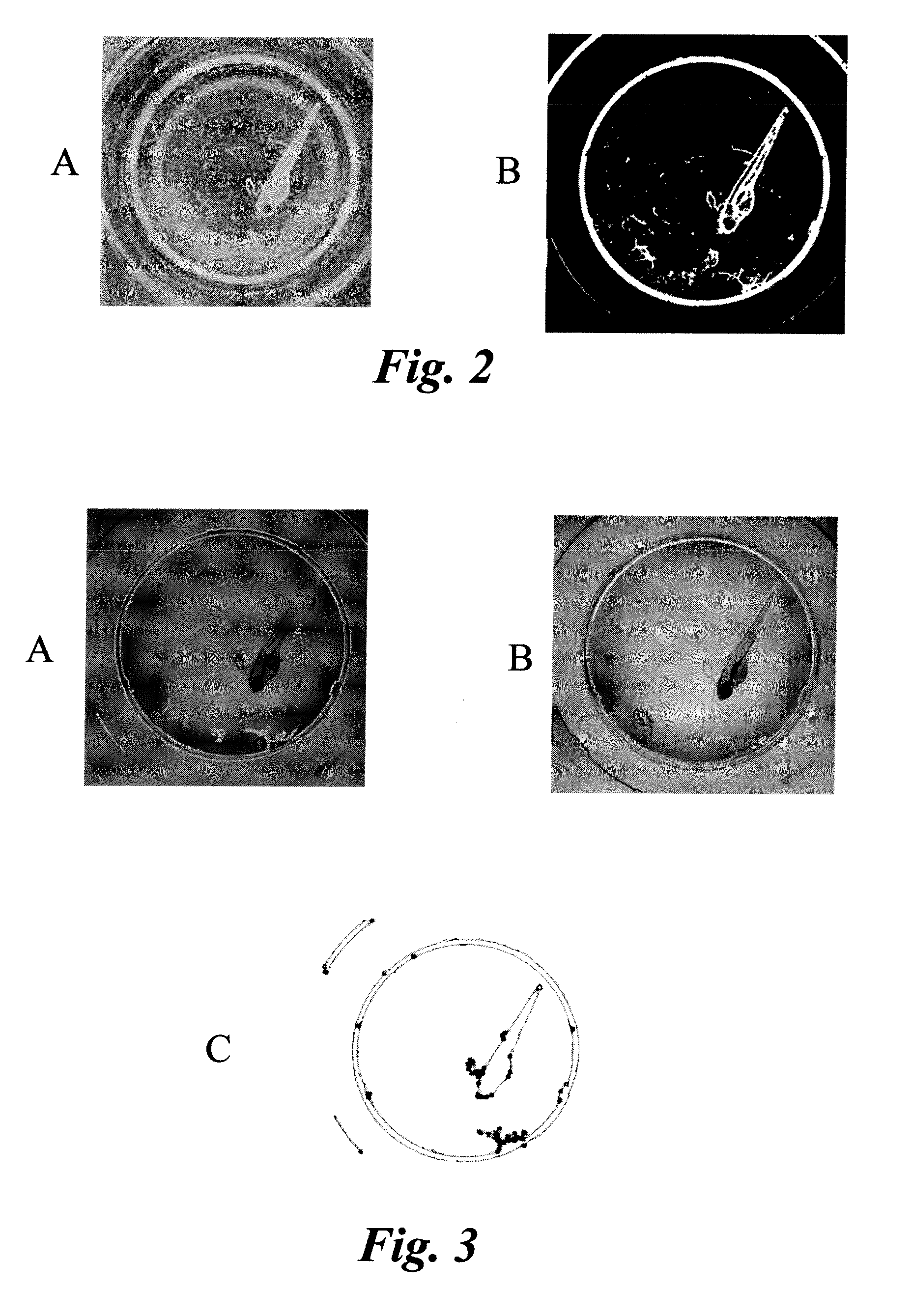 Methods and systems for identifying well wall boundaries of microplates