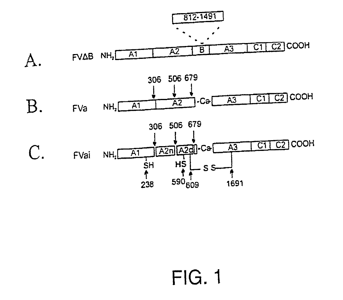 Stabilized Proteins with Engineered Disulfide Bonds