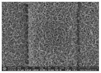 Preparation method of titanium dioxide and titanium carbide loaded carbon fiber composite catalytic functional material