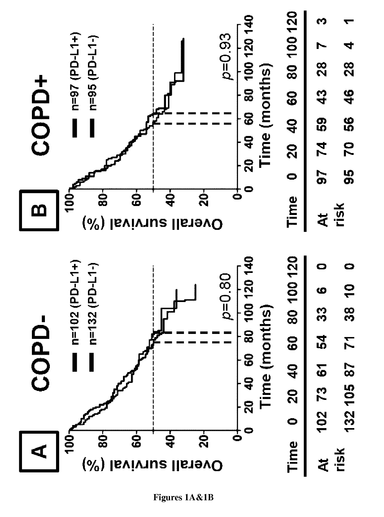 Methods and pharmaceutical compositions for the treatment of non small cell lung cancer (NSCLC) that coexists with chronic obstructive pulmonary disease (COPD)
