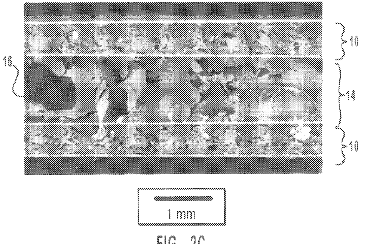Molded starch-bound containers and other articles having natural and/or synthetic polymer coatings