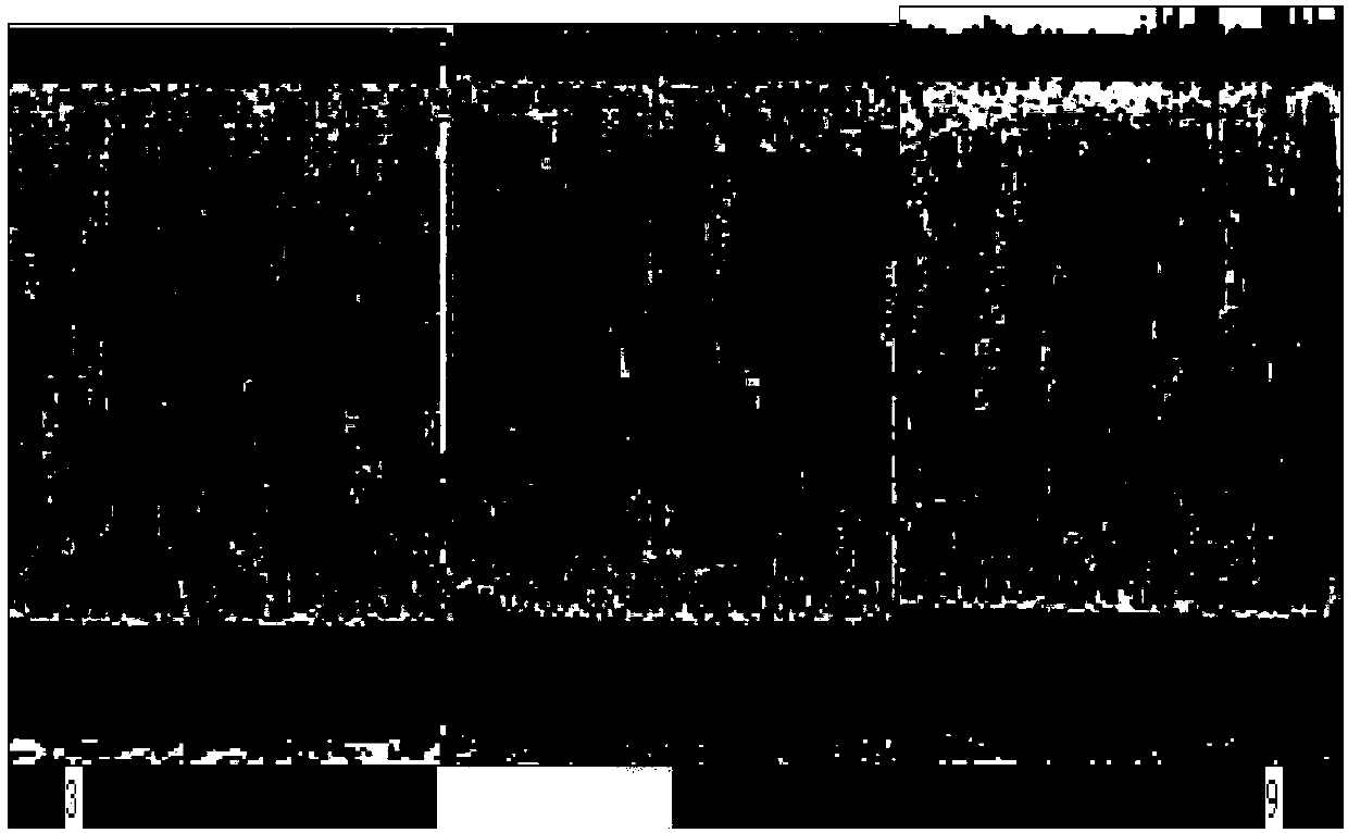 A kind of preparation method of crystalline silicon and crystalline silicon