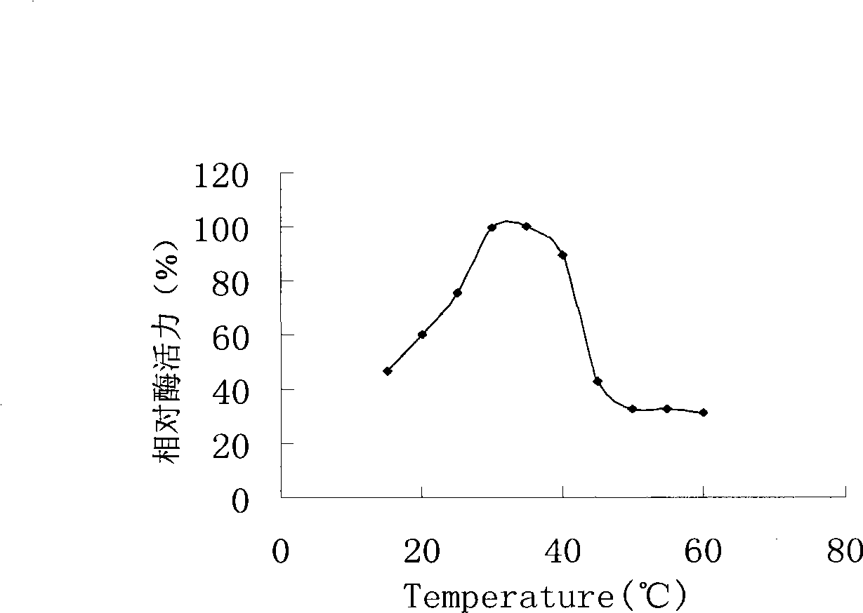 Malt oligosaccharide based mycose synthetase, coding gene and use