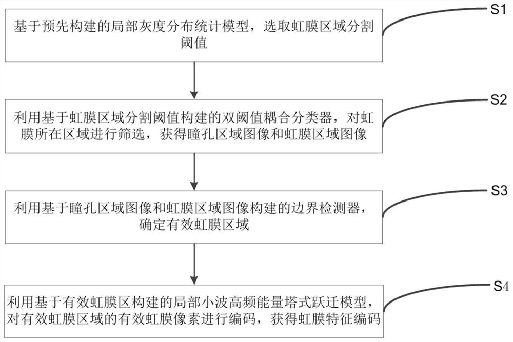 A method and system for iris location and feature extraction