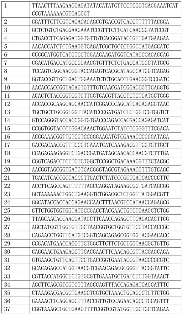 Artificially synthesized gene encoding thymidine phosphorylase protein and its application