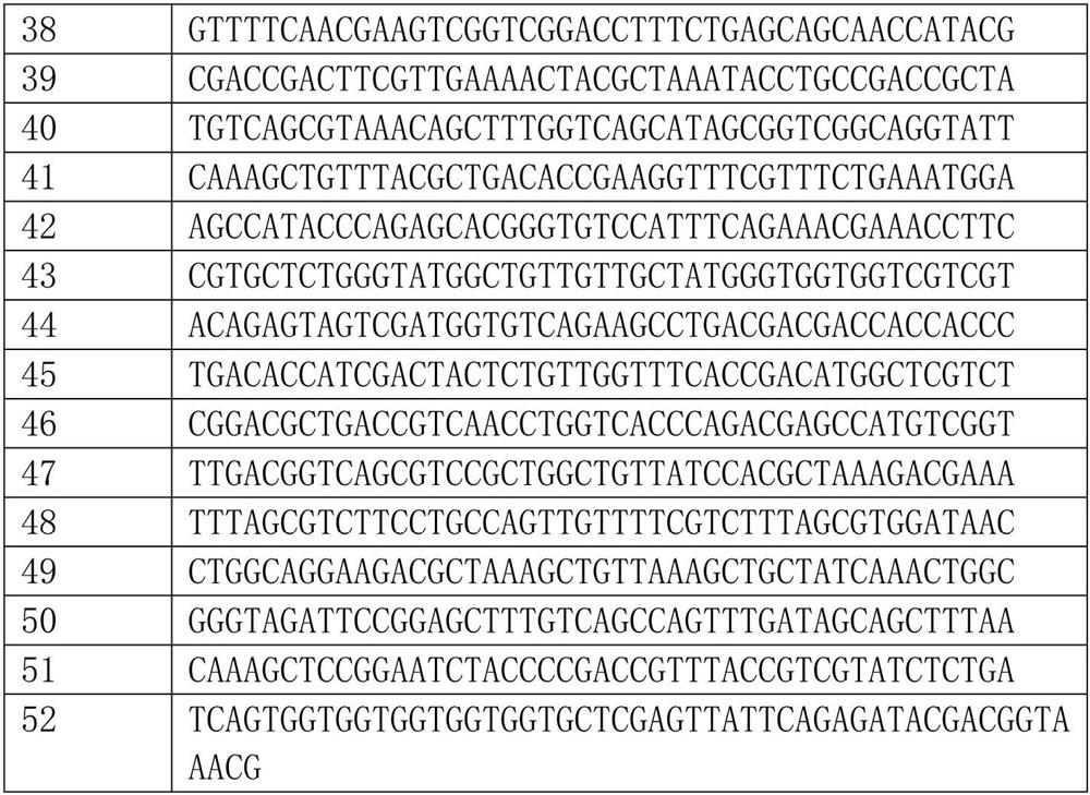 Artificially synthesized gene encoding thymidine phosphorylase protein and its application