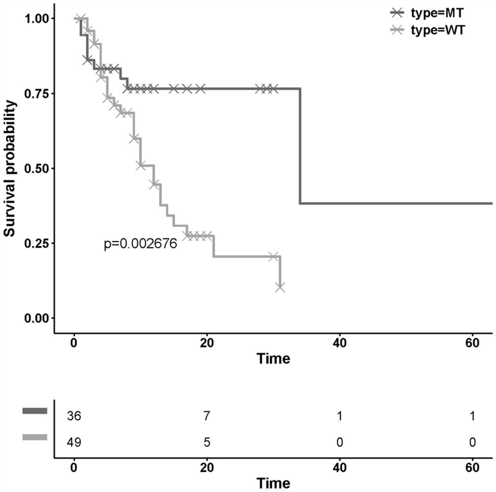 Screening method of tumor immunotherapy prognosis marker and application