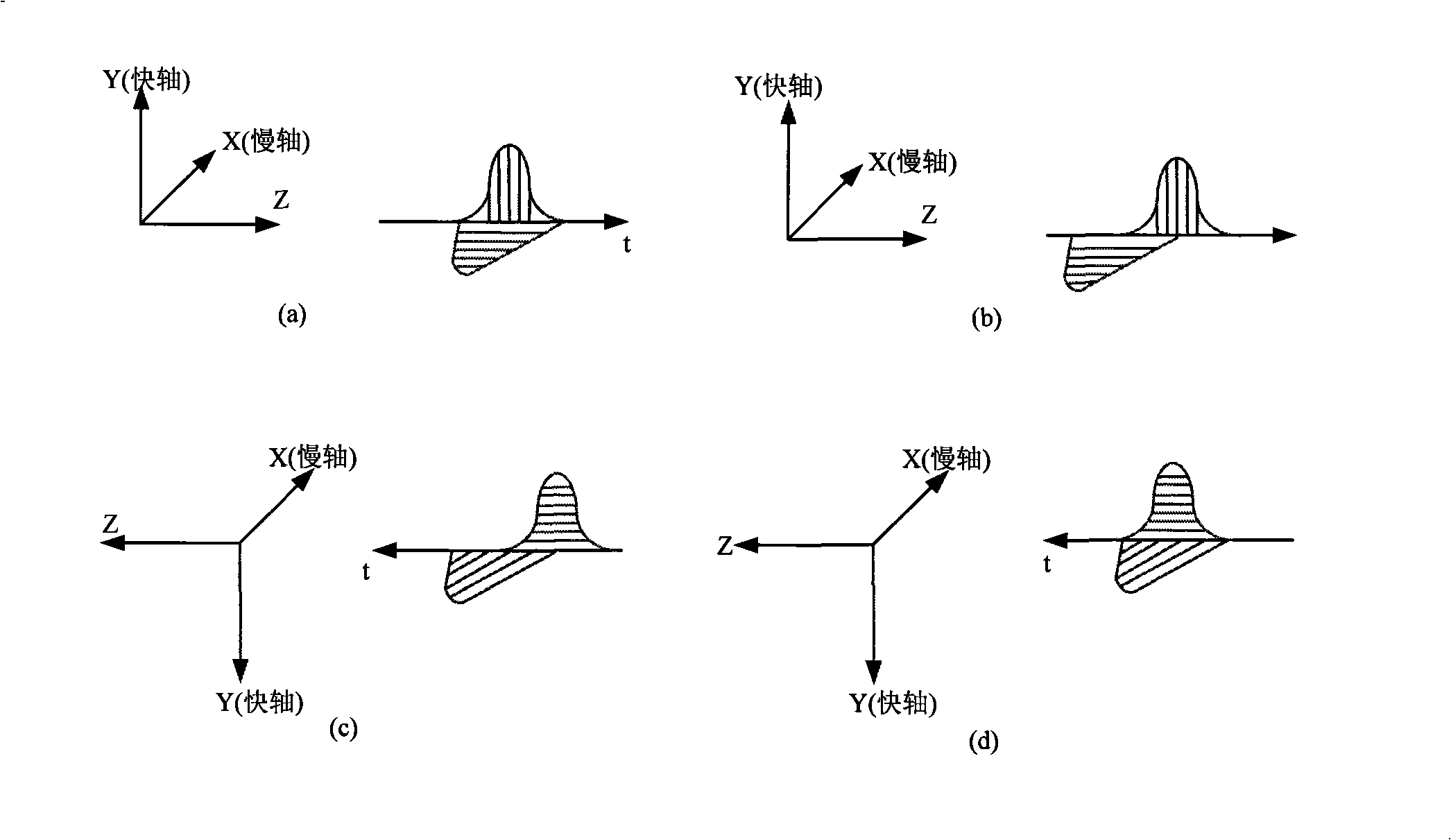 Apparatus and method for compensating polarization membrane dispersion in network for forming light control microwave beam