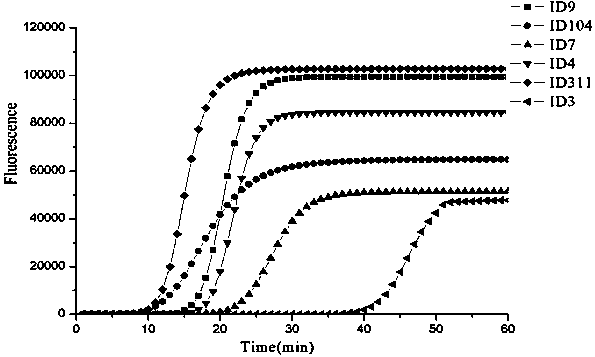 Primers for detecting bacillus subtilis through loop-mediated isothermal amplification method and application thereof